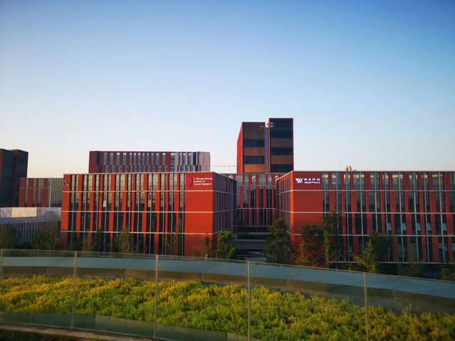 广东透明清漆厂家