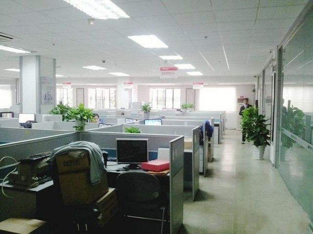 苏州防潮艺术涂料哪家好