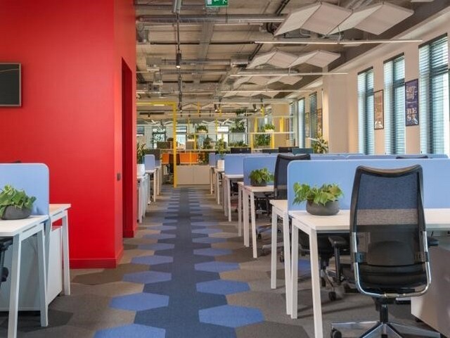 西安市质量地毯底垫是什么